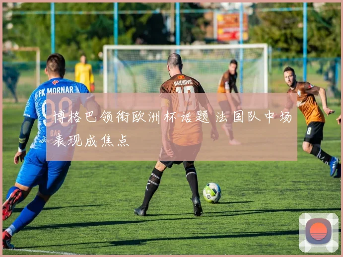 博格巴领衔欧洲杯话题 法国队中场表现成焦点